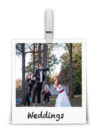 Visit my Portfolio for more galleries and Slideshows!