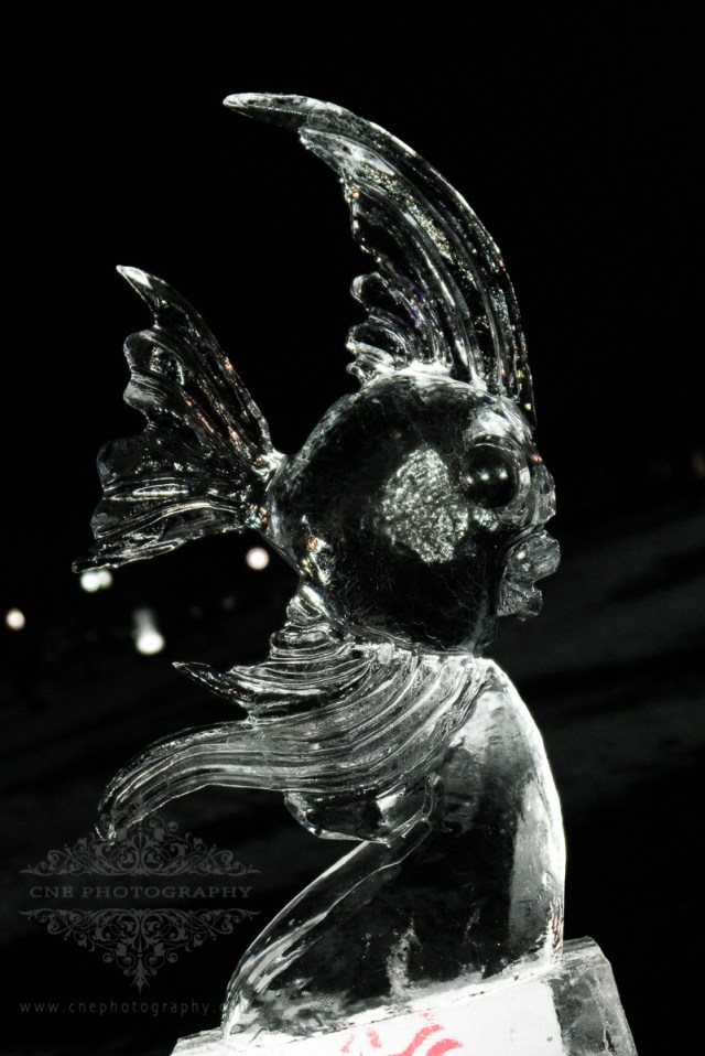 Ice Sculptures