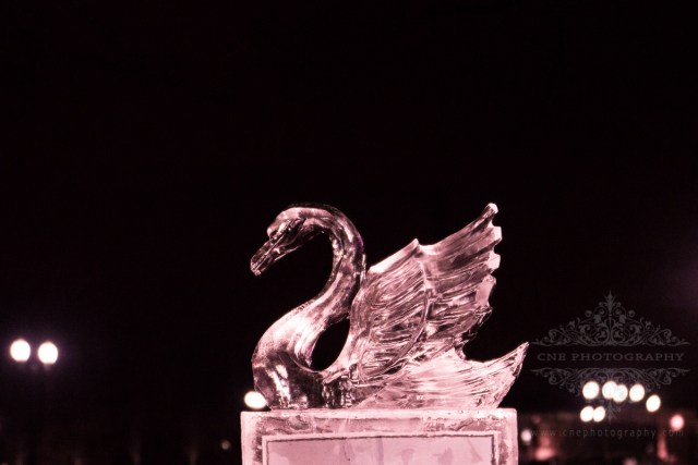 Ice Sculptures