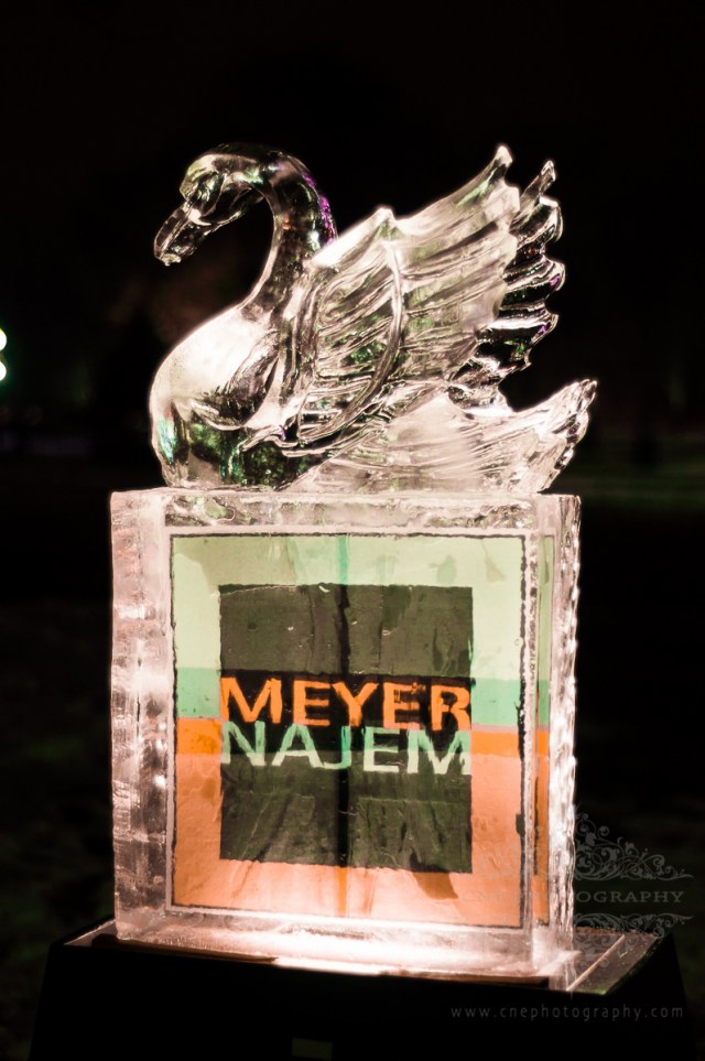 Ice Sculptures