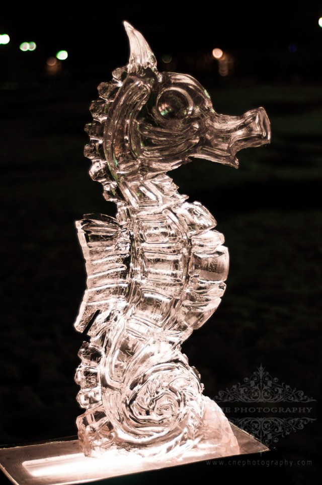 Ice Sculptures