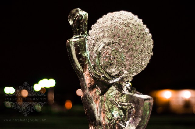 Ice Sculptures