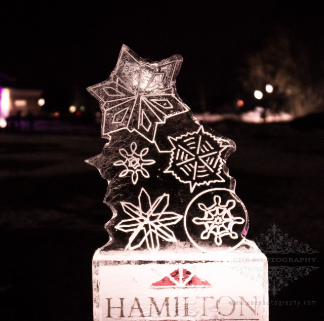 2014 Fishers IN, Ice Festival